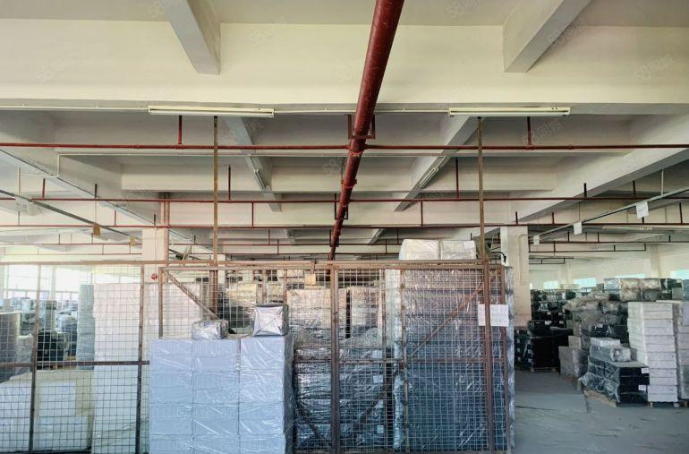 原房东独院厂房仓库直租 水电现成 带消防喷淋，可分租