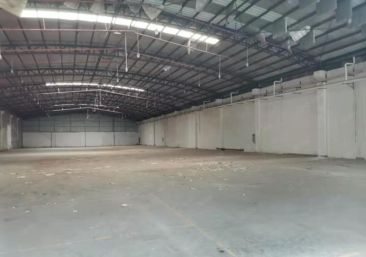 石碣横滘招租独院钢结构1000平方，层高8米，可随时入驻！