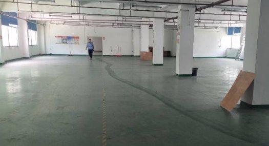 凤岗五联楼上带装修厂房出租1200平精装修办公室 光线好