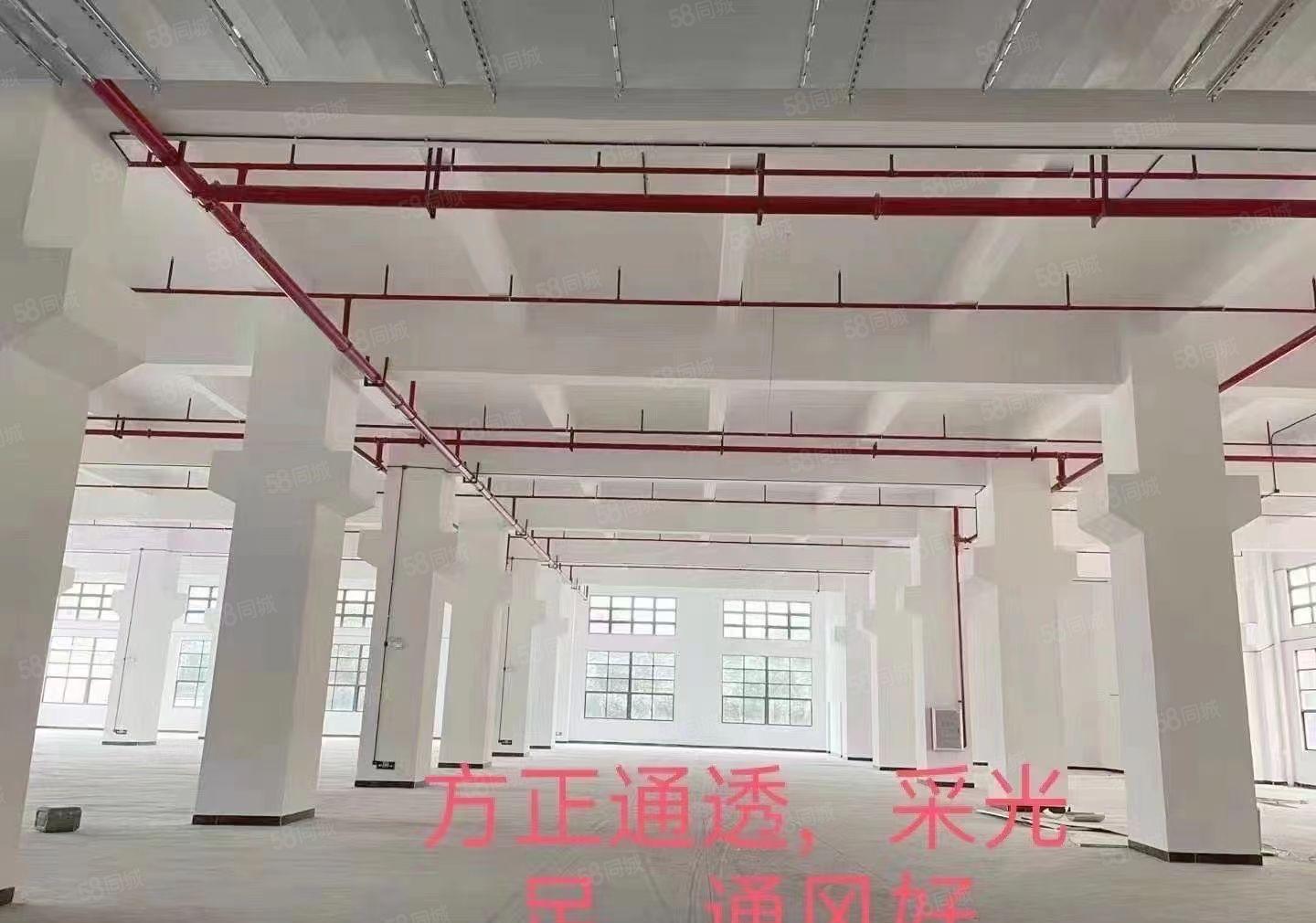 石龙新城区全新工业园出租。面积可按需分租，价格12起