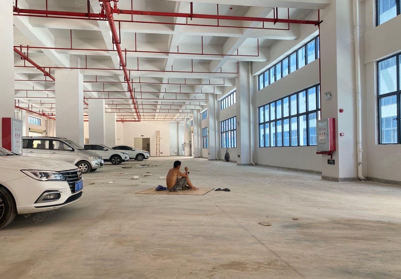 石龙新出漂亮园区厂房出租，可分租空地大。适合小加工电子仓库