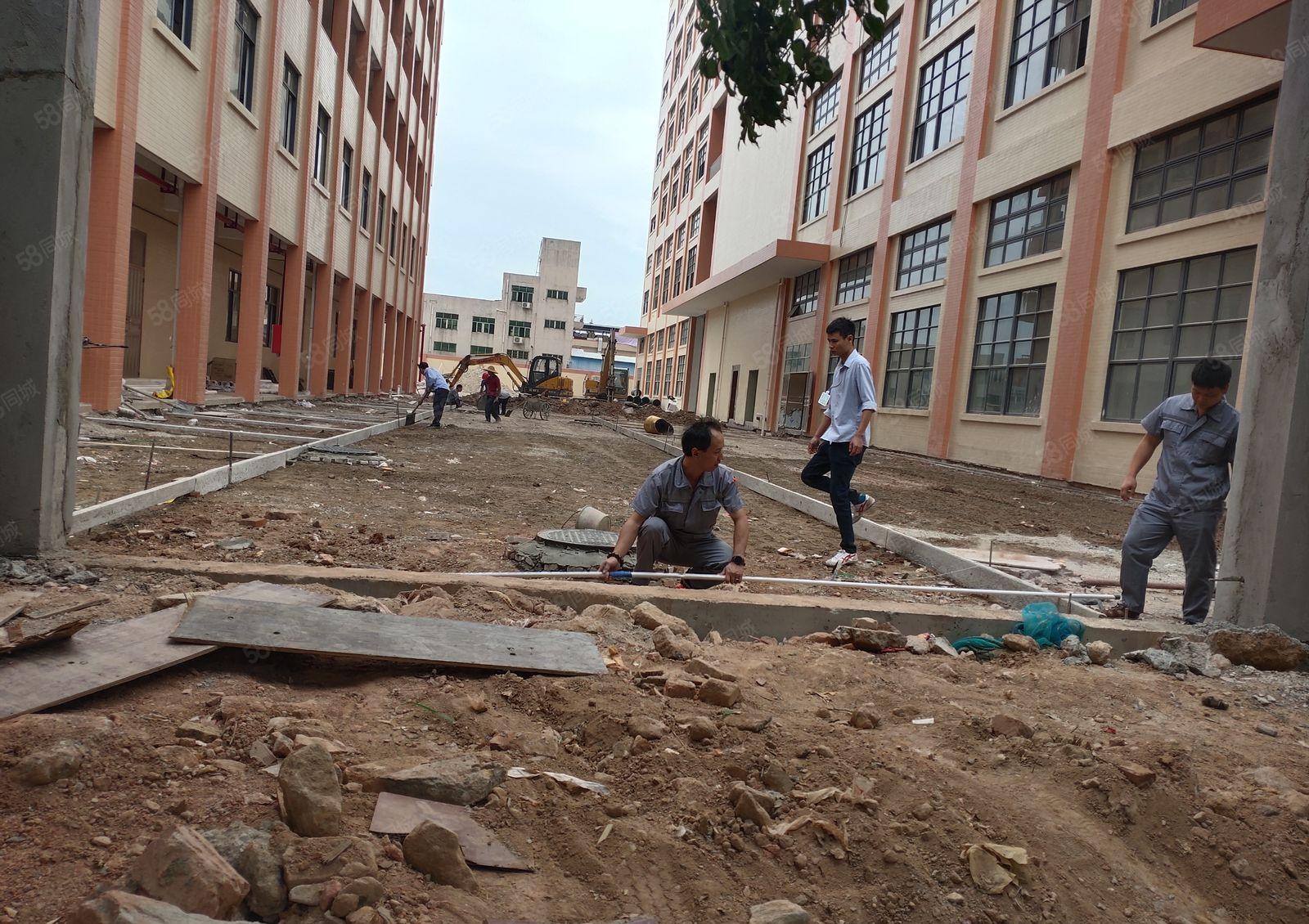 石龙新城区全新工业园出租。面积可按需分租，价格12起