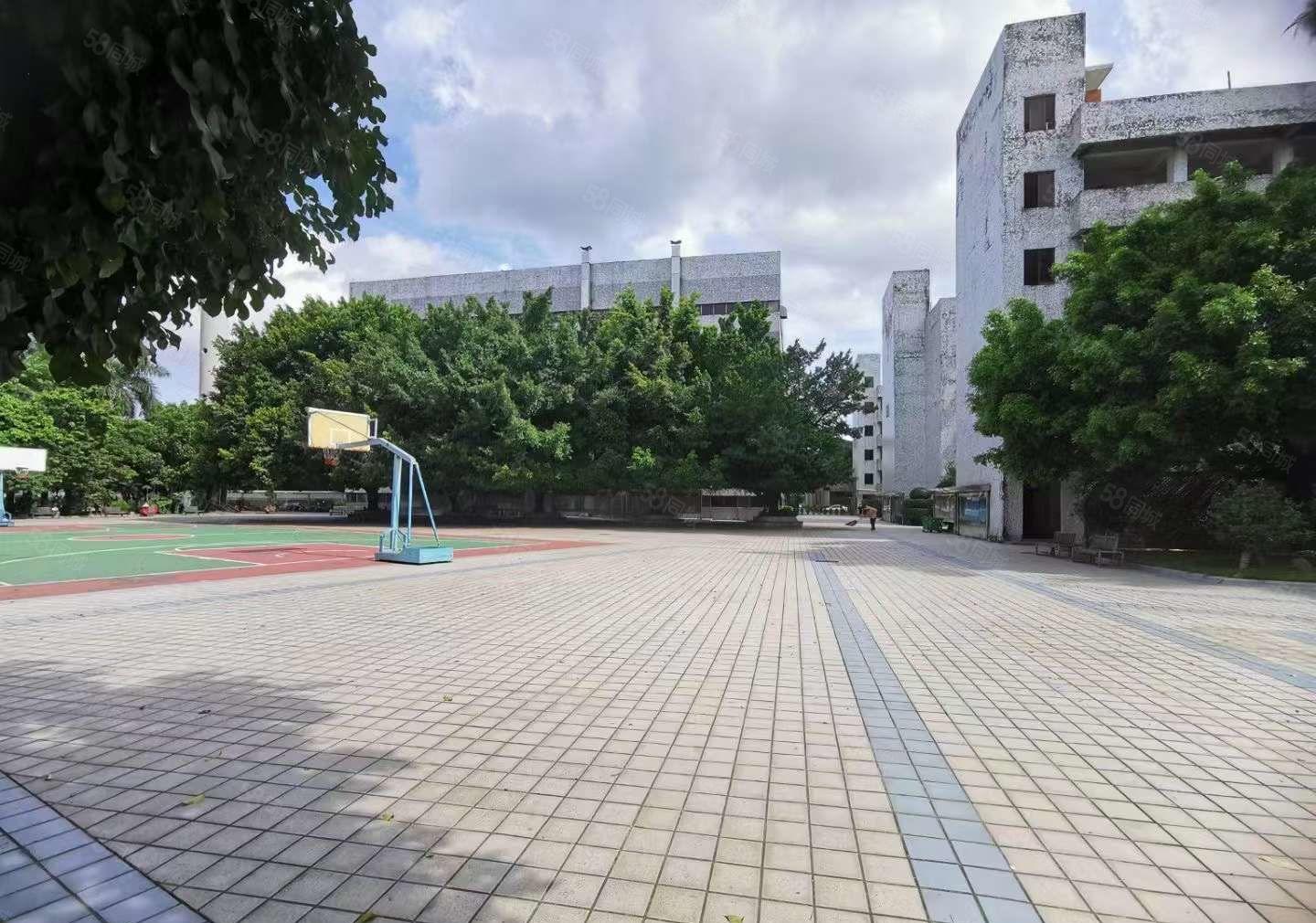 有国有证红本，单层面积大 清溪独院厂房  电商仓库出租3万平