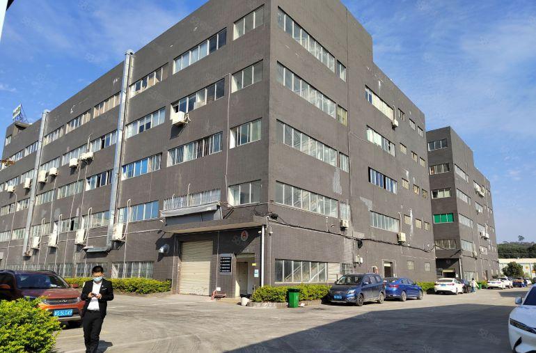 清溪镇三中村 主路边新出楼上1800平低价出租 带装修办公室