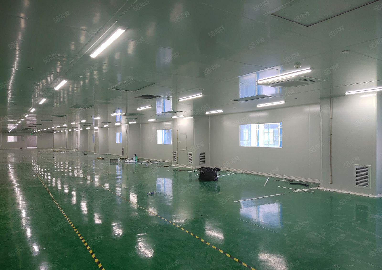 清溪三中工业区1900平现成精装修无尘车间仓库厂房出租可分租