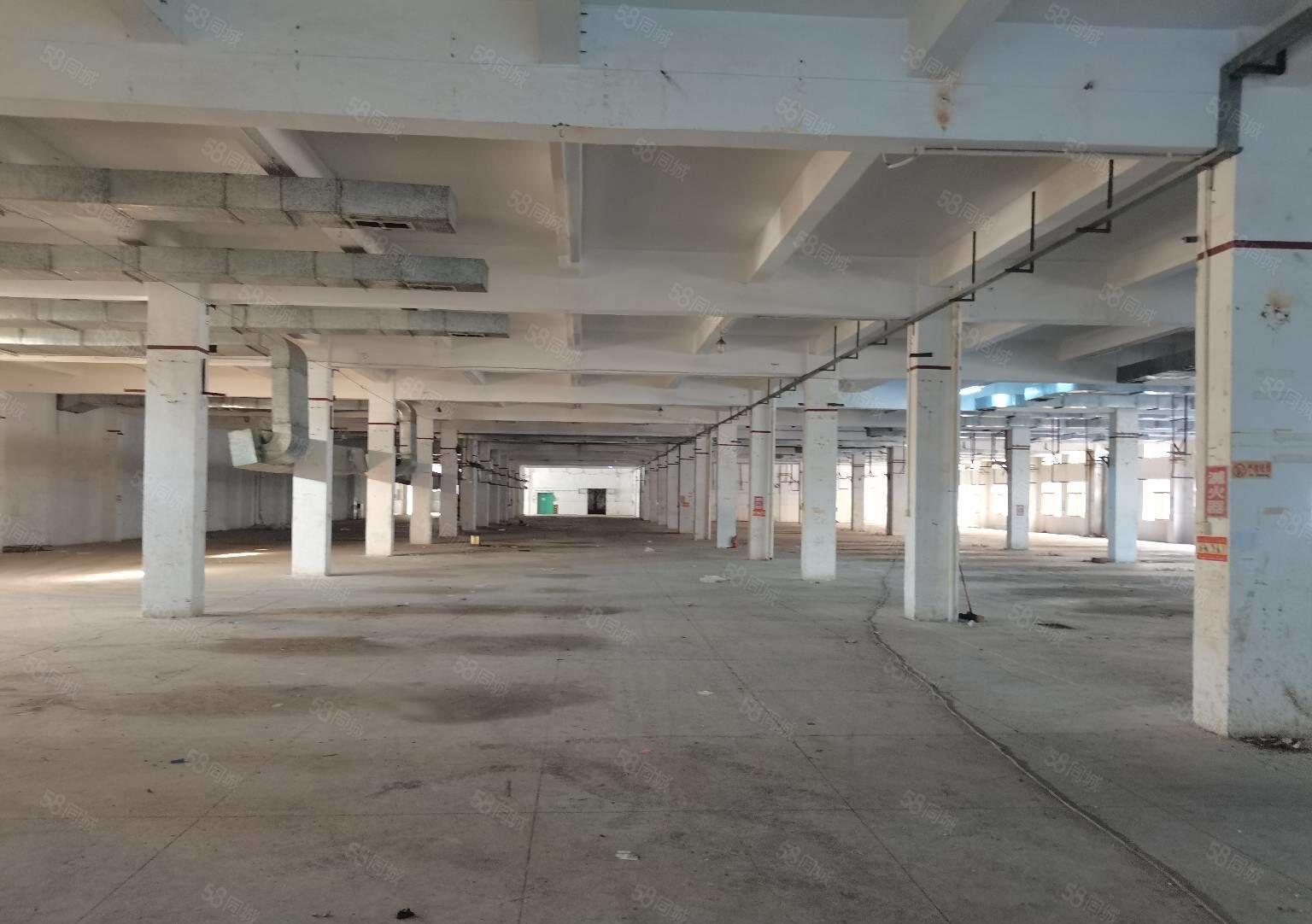 清溪三中高速出口新出独院厂房40000平出租可分租 空地超大