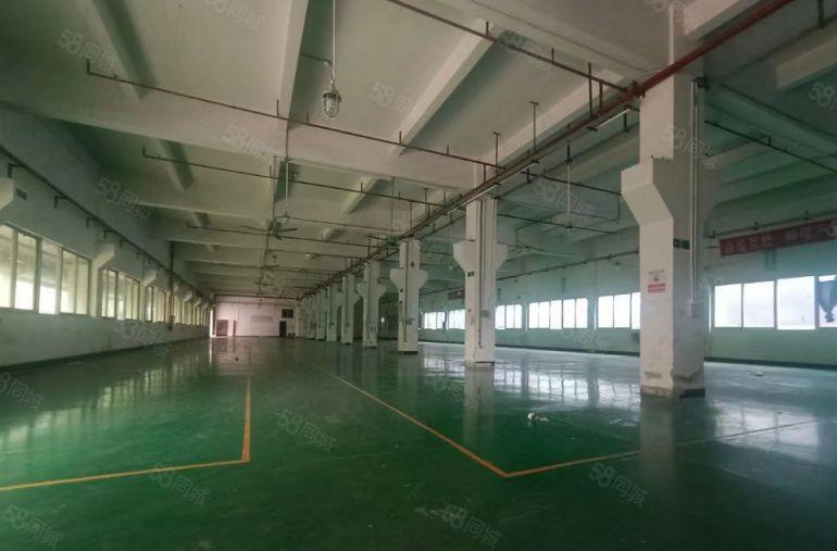 清溪新出原房东独院厂房3800平方带水电装修出租