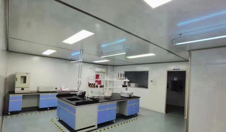 清溪三中新出标准厂房一楼1000平无尘车间