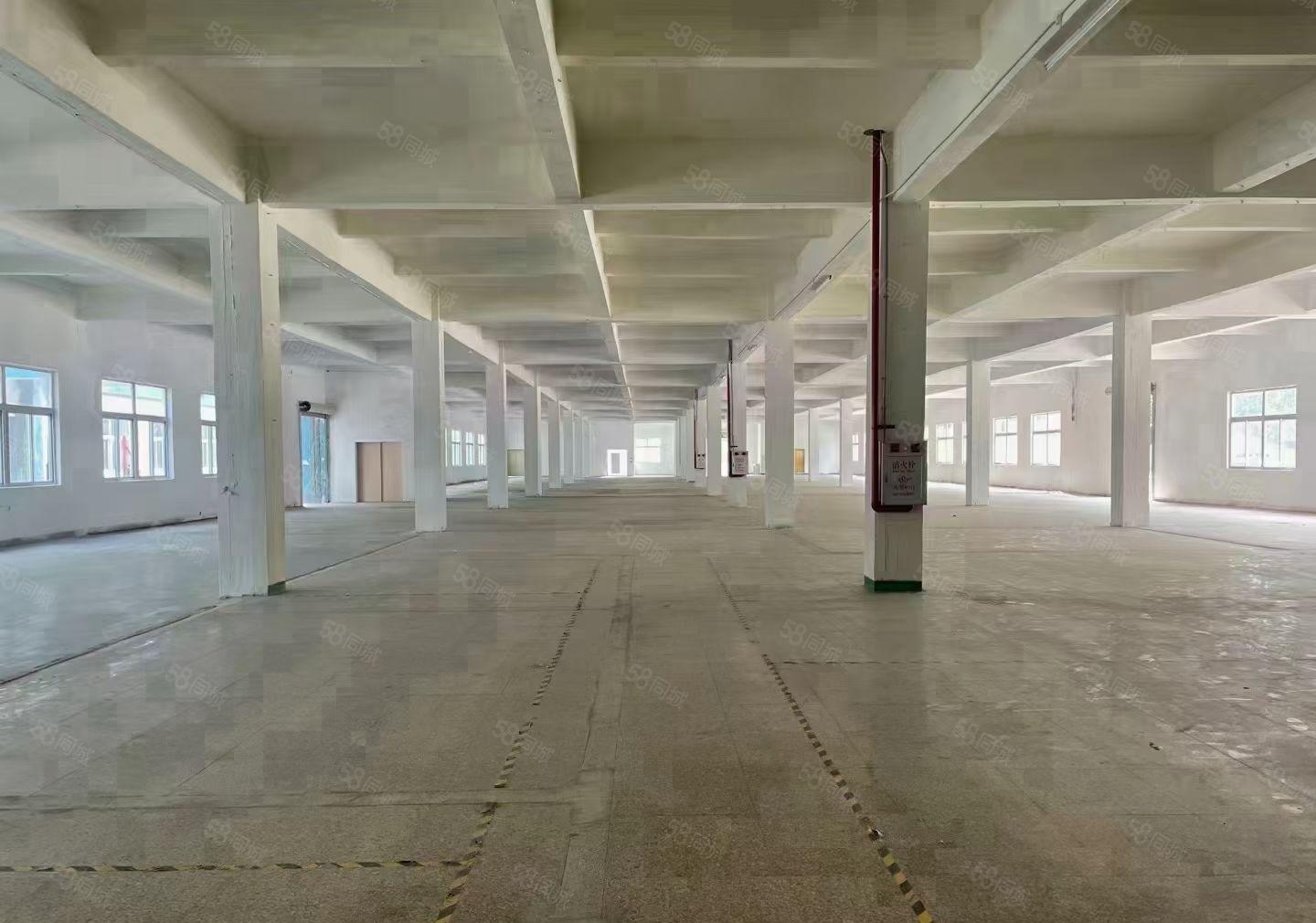 清溪镇原房东独门独院红本厂房出租面积实量水电可过户大小可分租