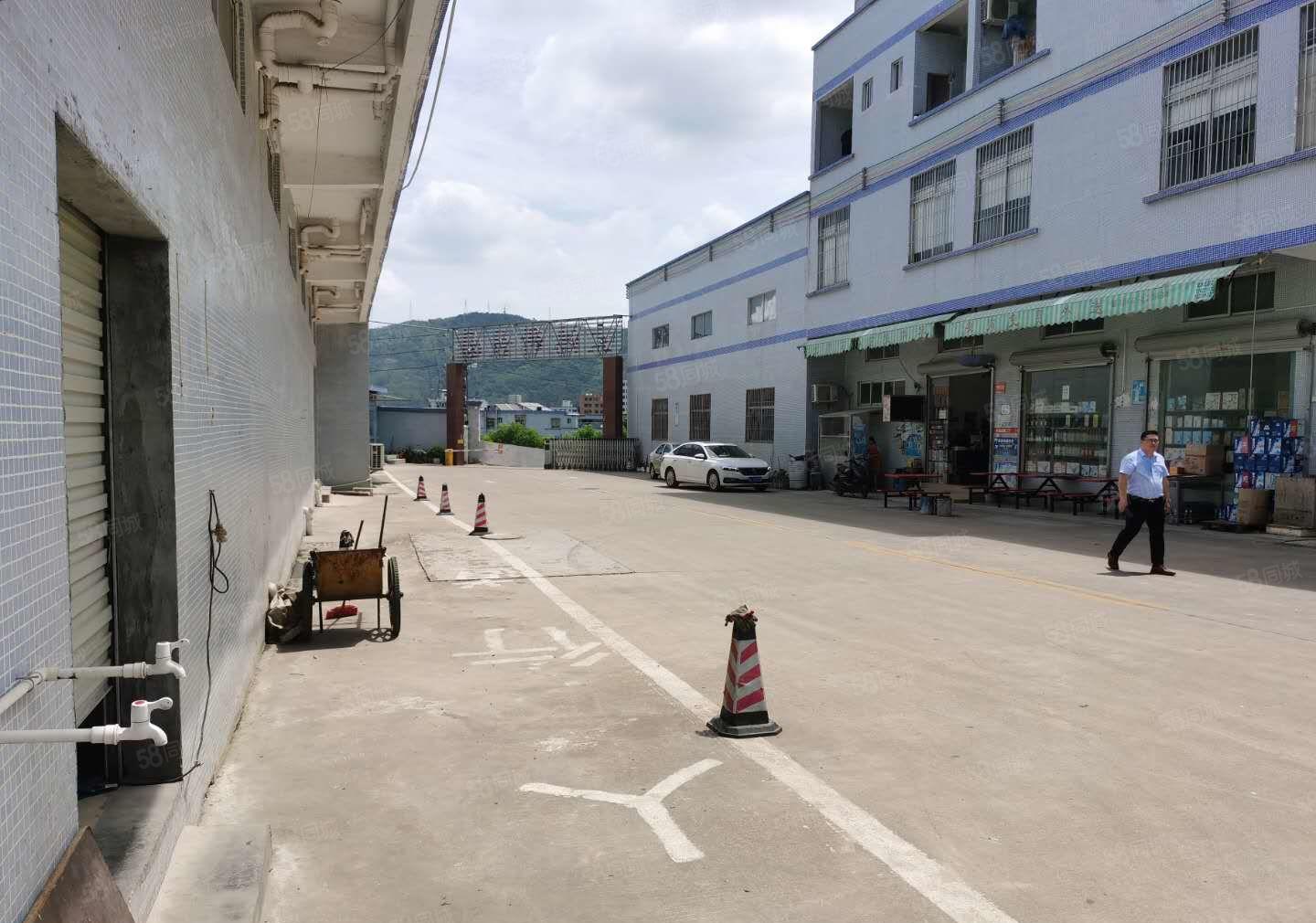 清溪6000平原房东独门独院出租可分租1000平起分