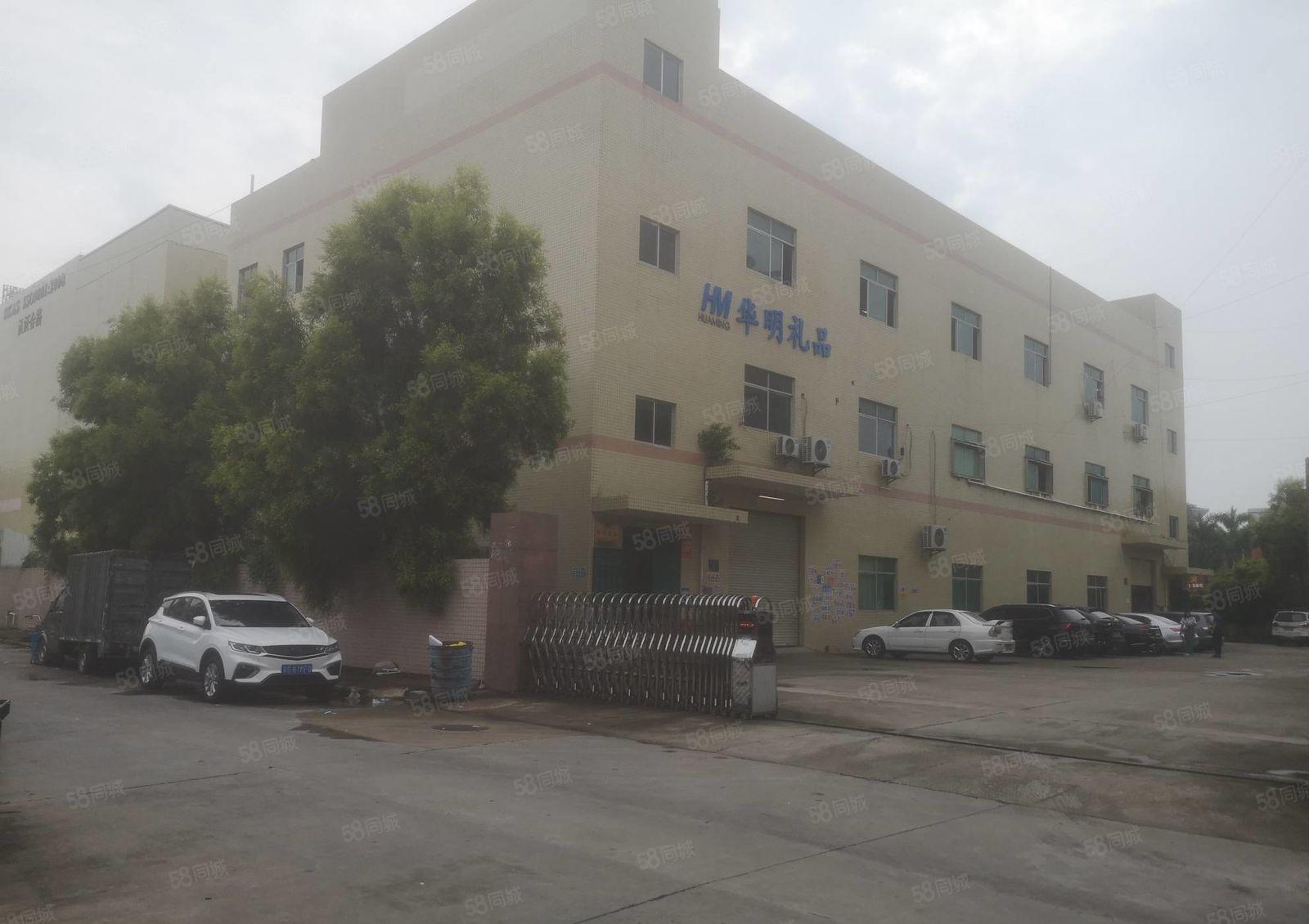 主打电池行业 保驾护航 清溪镇三中村 厂房二楼984平