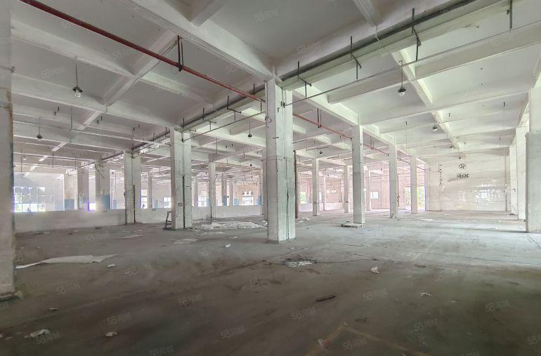 东莞清溪三中高速路口原房东独院13700平标准单一层厂房出租