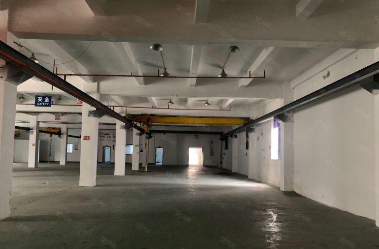 清溪九乡村新出花园式园区标准厂房出租