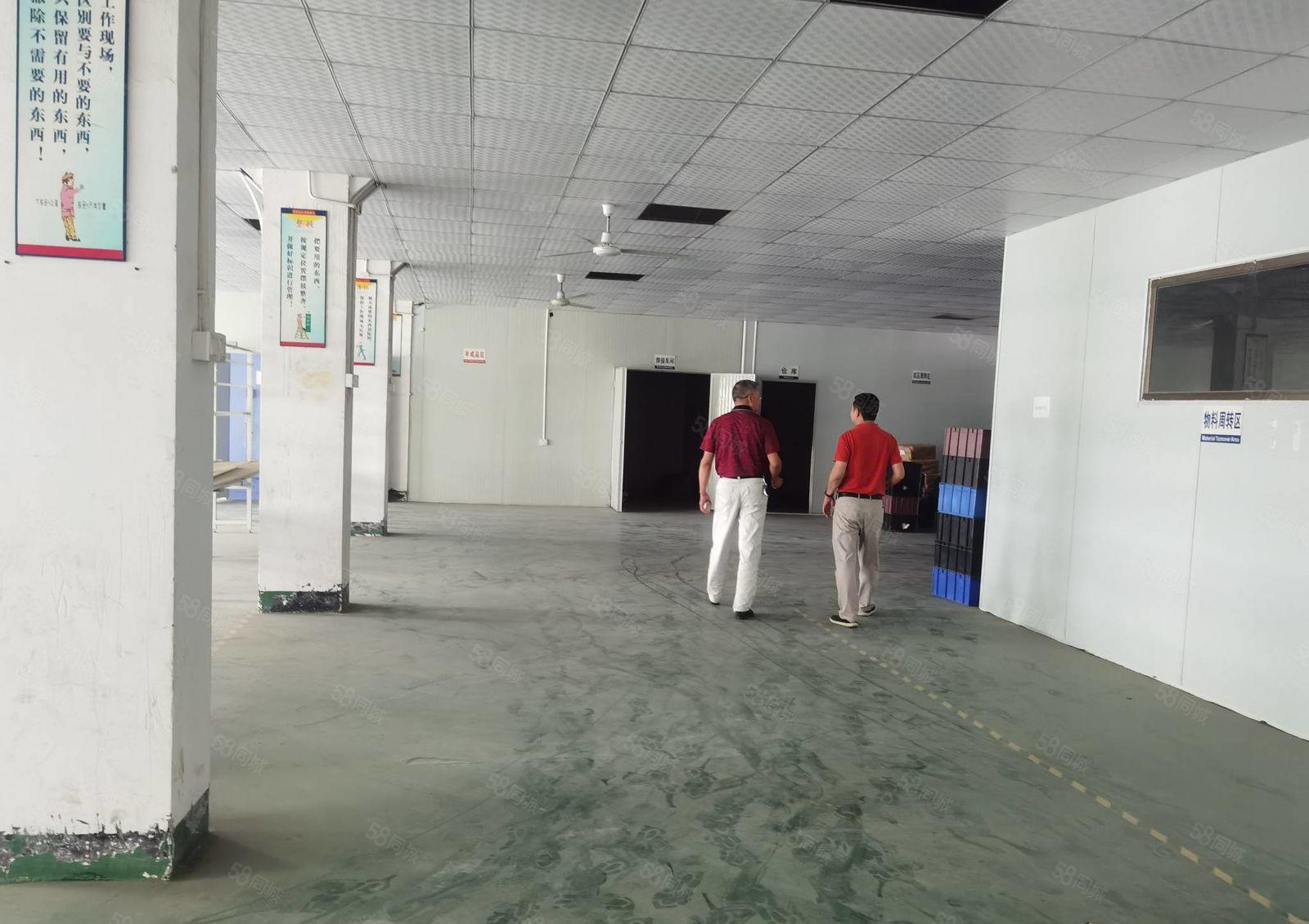 清溪镇三中村标准厂房二楼1200平方出租水电齐全精装修办公室