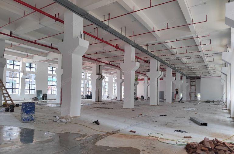 清溪青皇高速路口全新红本独院50000平厂房出租可分租