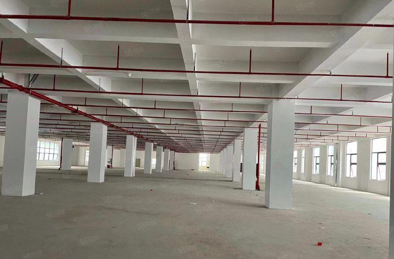 全新工业园厂房每层3000平可分租，园区形象好靠近高速路口