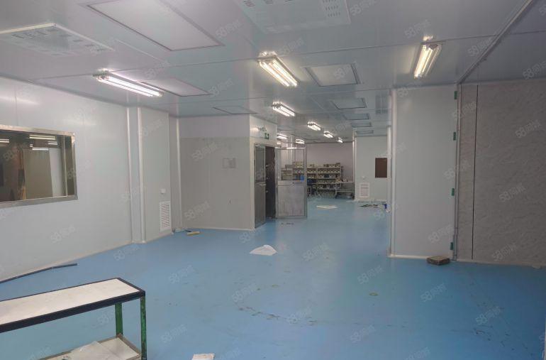 无尘车间！！清溪新出主干道边独栋2000平带装修厂房出租
