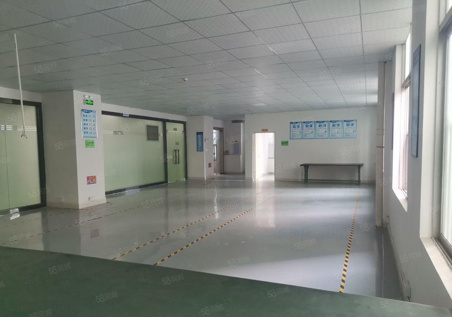 清溪三中新空楼上400平方豪华装修车间办公室出租