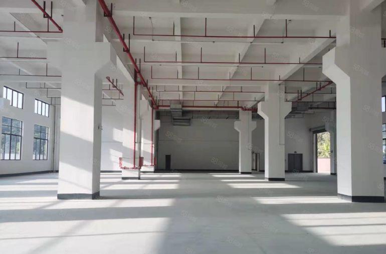 清溪三中标准一楼6.5米高2500平带牛角空地大厂房仓库出租