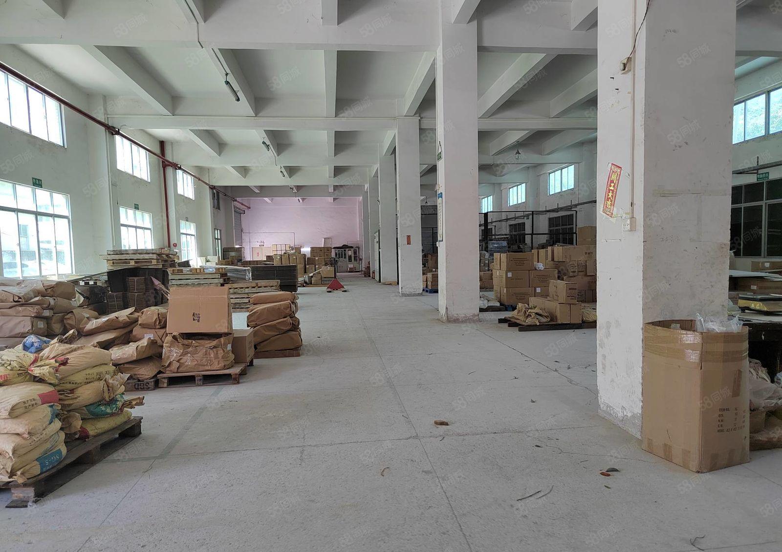 清溪新出原房东独院5000平厂房出租园区空地大可办环评