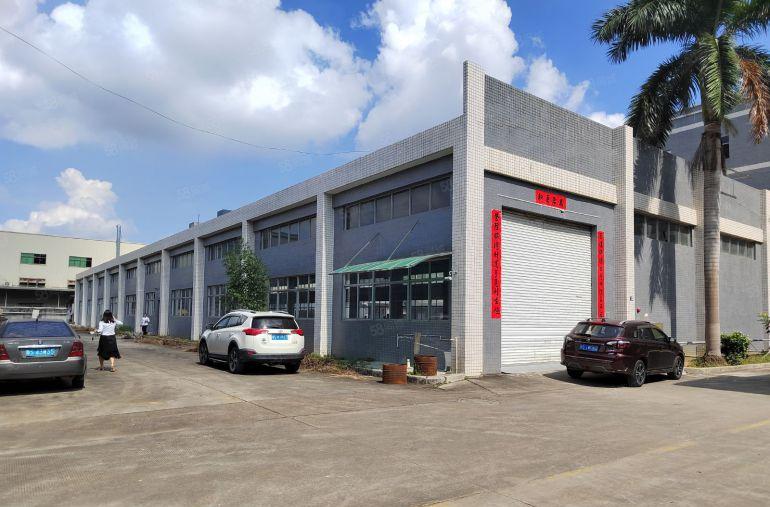 清溪镇三中村 标准单一层钢构2600平出租 滴水8米 带装修