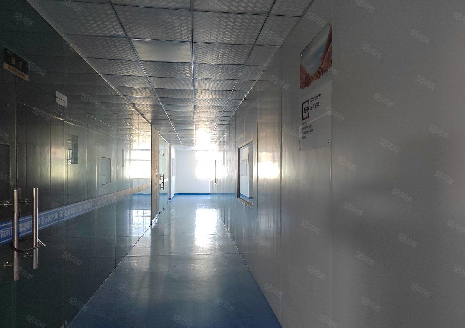 主打电池行业 保驾护航 清溪镇三中村 厂房二楼984平