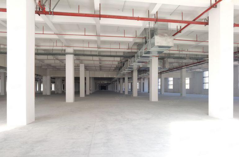 清溪镇3.3万平方全新原房东厂房出租建筑面积可做物流带平台