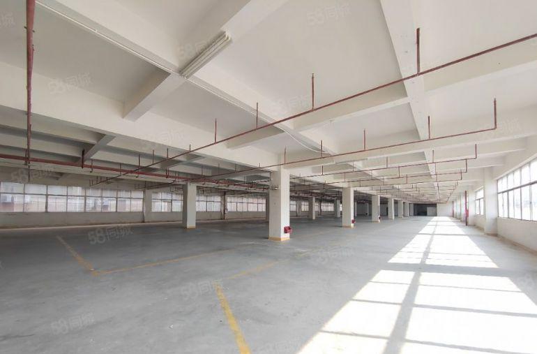 高新产业园，国有红本双证齐全，整层2500平，可分租！