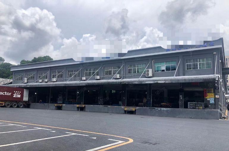 价格好谈15元清溪三中10米高单一层1000平起租带卸货平台