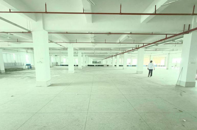 清溪镇三中村新出楼上3000平，精装修，俩台标准3顿货梯