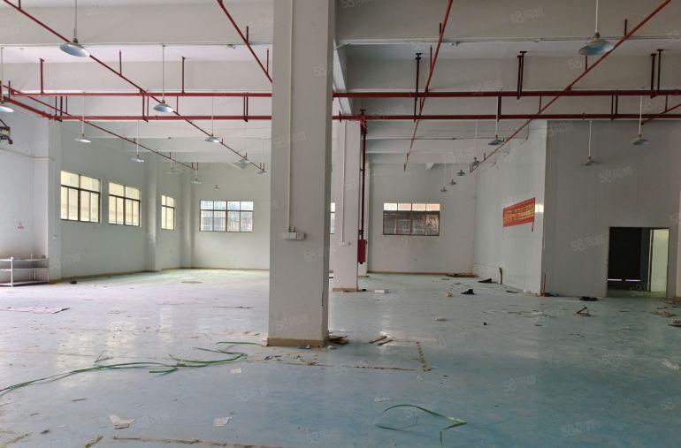 清溪镇三中原房东一楼2600平方米，大小可分，18元一平