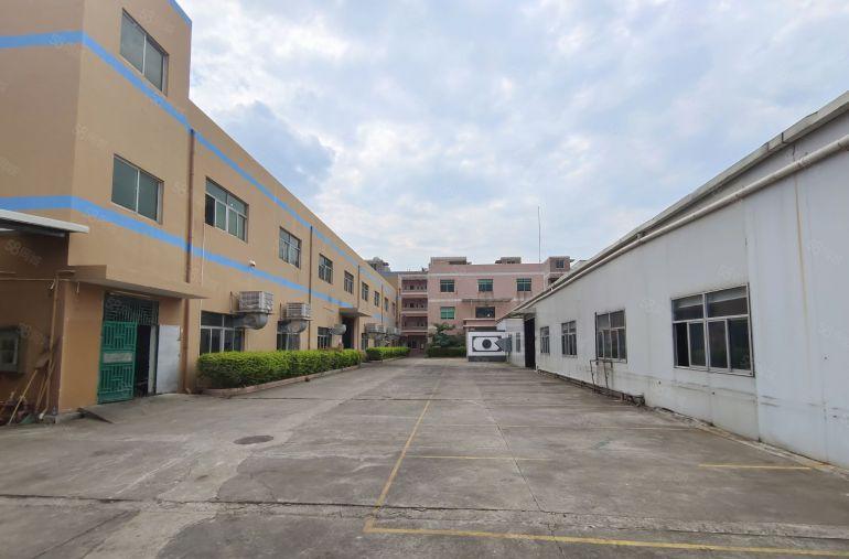 清溪三中原房东独院4862平5年不递增实际面积拎包生产出租