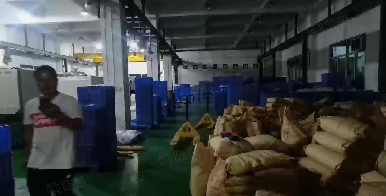 清溪厂房出租5500平方，独院原房东带行车地坪漆空地超大