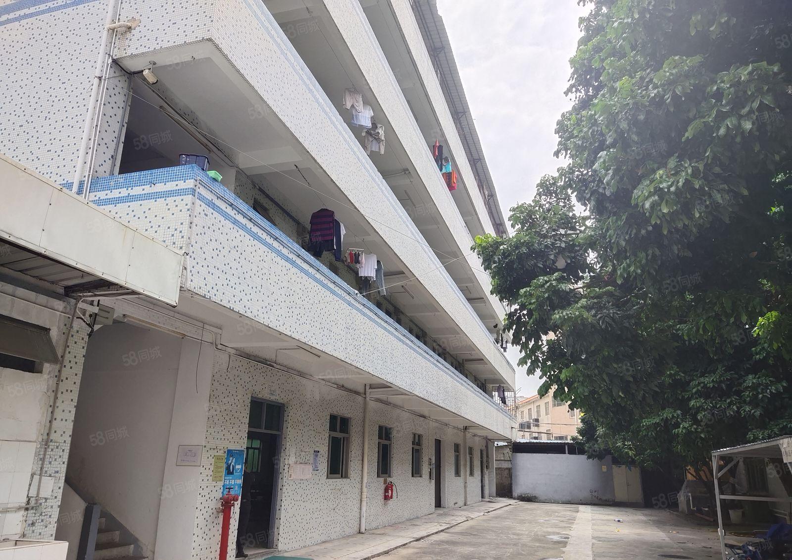 清溪三中工业区一楼2百5百8百1千平红本独院仓库厂房出租分租