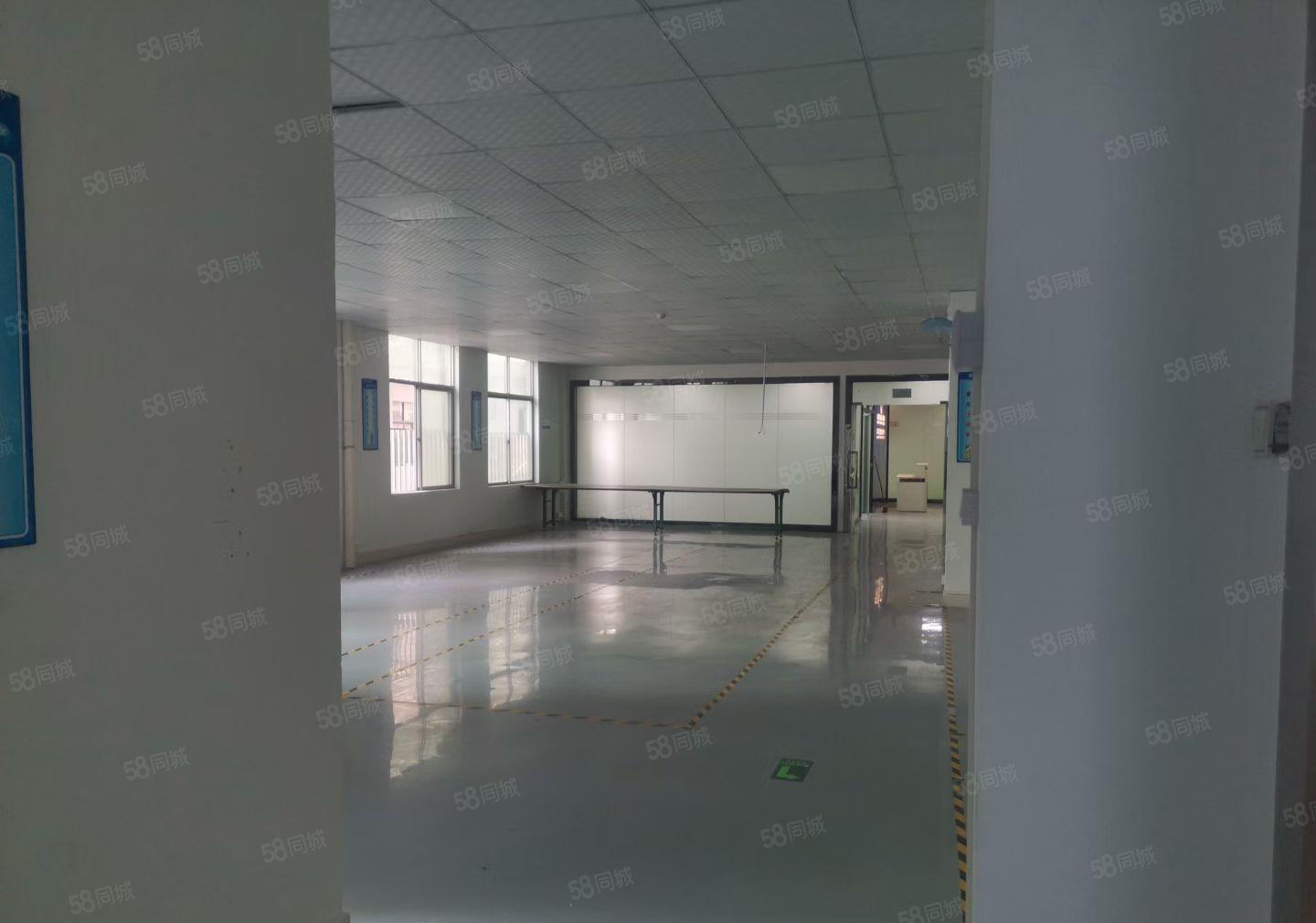 清溪三中新空楼上400平方豪华装修车间办公室出租