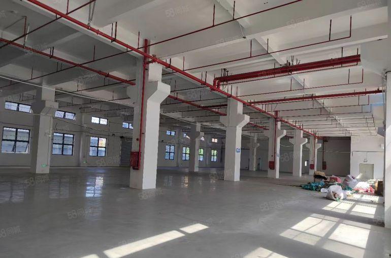 清溪三中标准一楼6.5米高2500平带牛角空地大厂房仓库出租