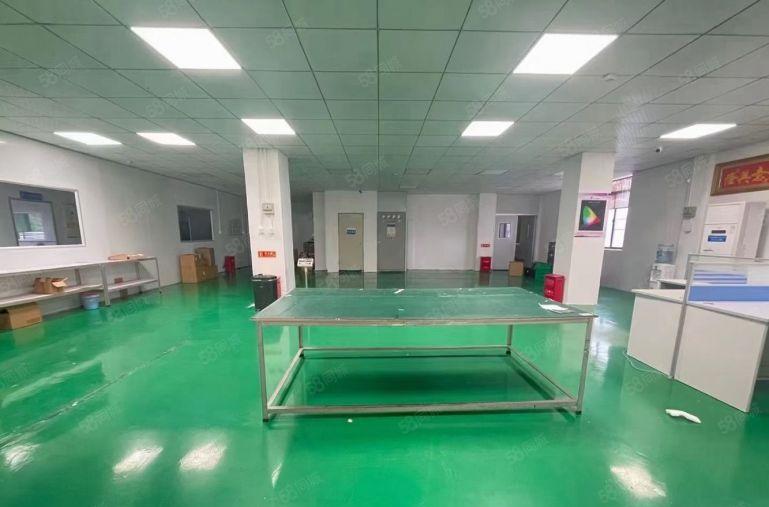 价格8元可谈原房东300平500平1000平清溪谢岗厂房出租