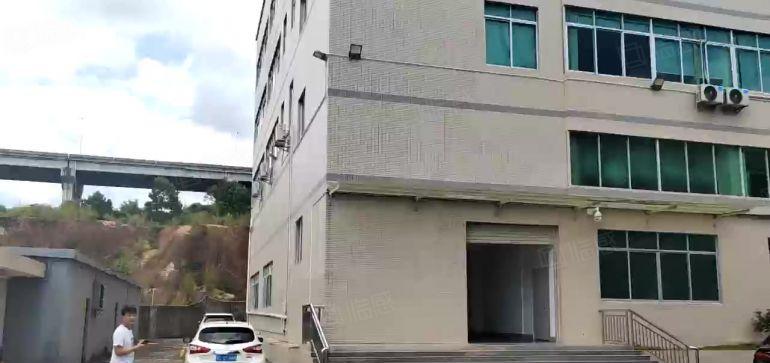 清溪镇三中村 标准独院厂房10000平出租带装修办公室空地大