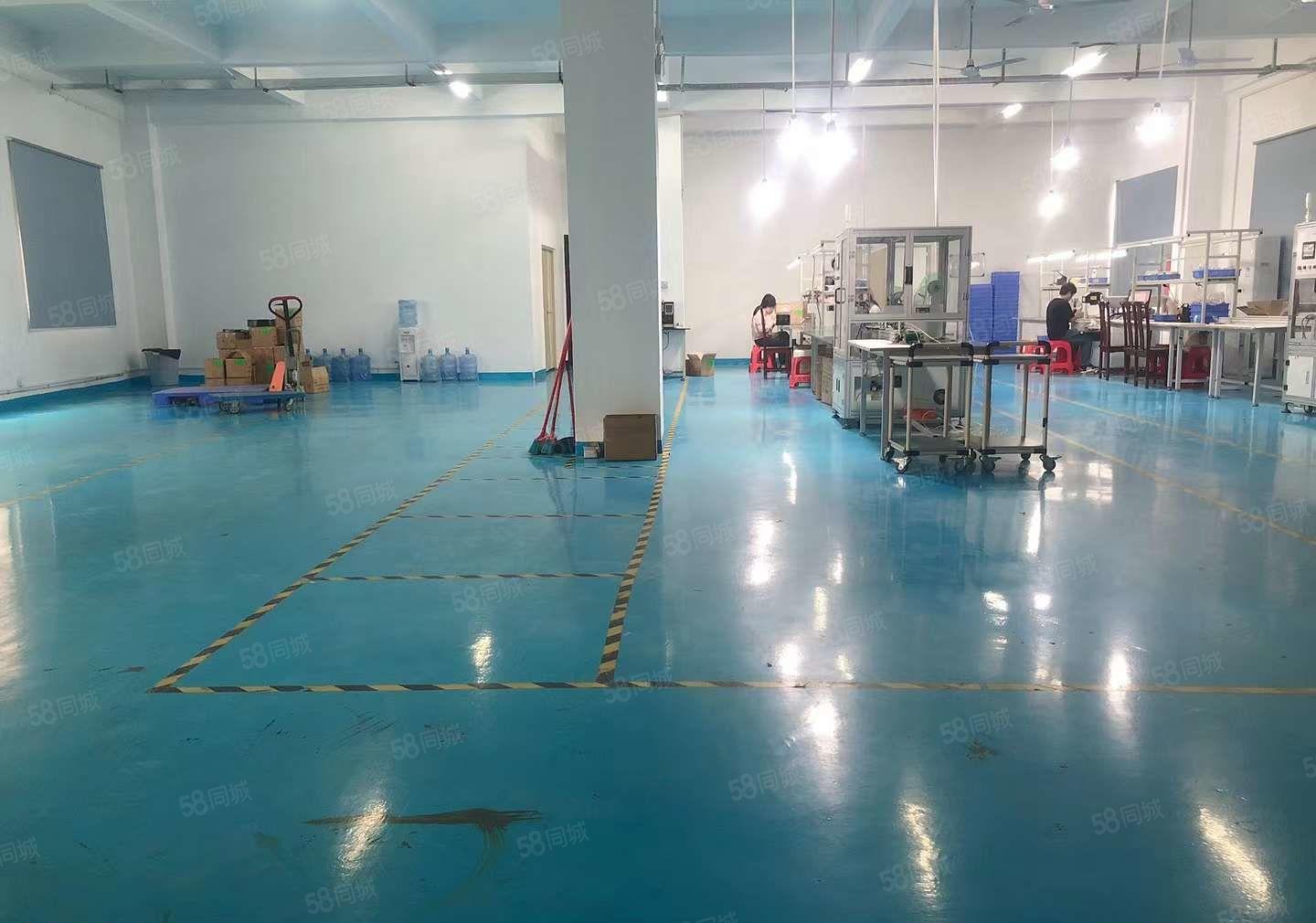 清溪上元，分租楼上整层1300平 适电子装配 手袋 电商仓库