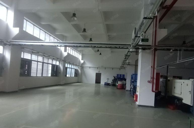 清溪靠塘厦新出一楼1000平层高7米带牛腿特价19元厂房出租