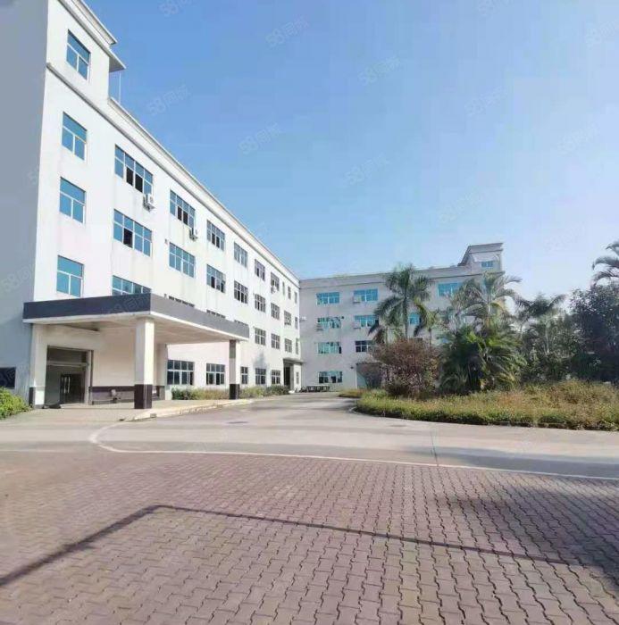 清溪镇大利村 新出原房东一楼600平厂房出租 带装修办公室