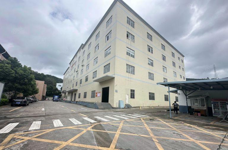 （出租）12元一平原房东独门独院厂房出租10000可分