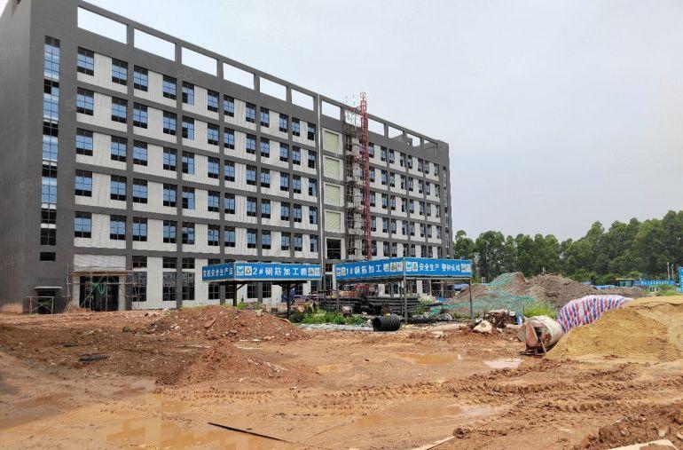 清溪青皇高速路口全新红本独院50000平厂房出租可分租