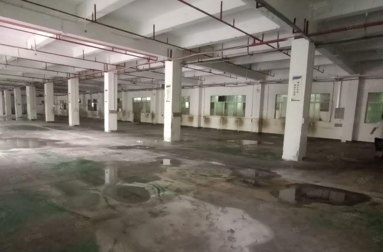 清溪三中原房东独院9000平现成办公楼，一楼高6米厂房出租