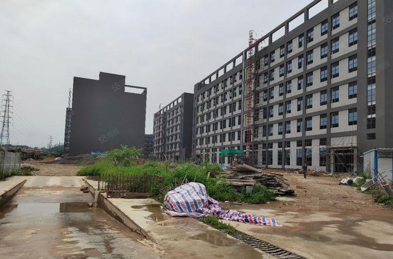 清溪青皇高速路口全新红本独院50000平厂房出租可分租