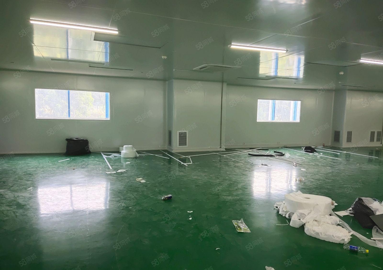 清溪三中工业区1900平现成精装修无尘车间仓库厂房出租可分租