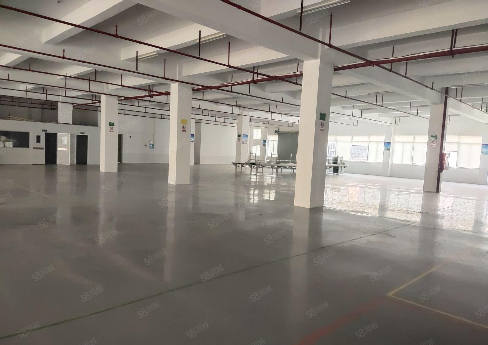 清溪三中原房东一楼2百平5百平8百平1千平仓库厂房出租可分租