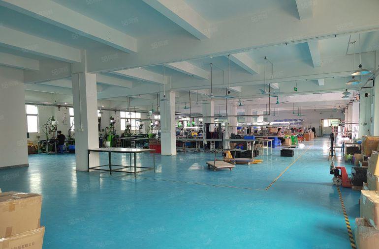 清溪镇三中村 原房东独院3800平低价出租 带装修办公室