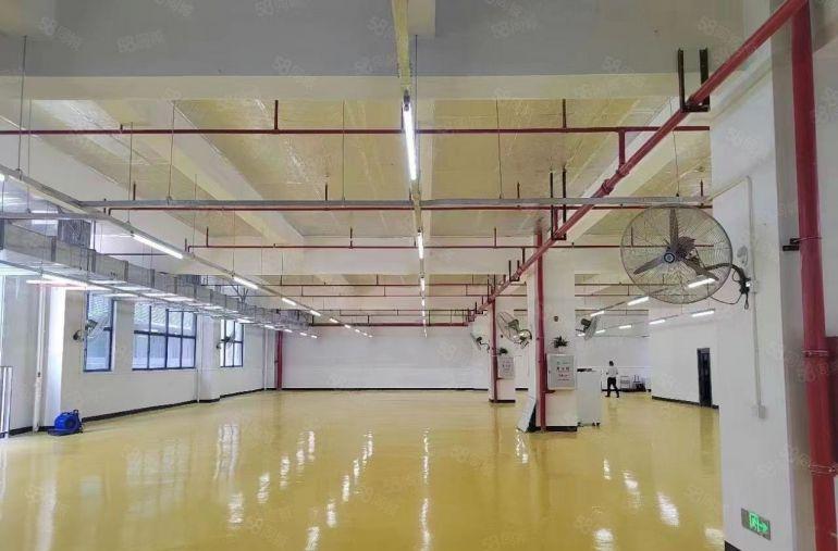 10元出租清溪原房东独院1到3楼各1300平米可分租交通方便