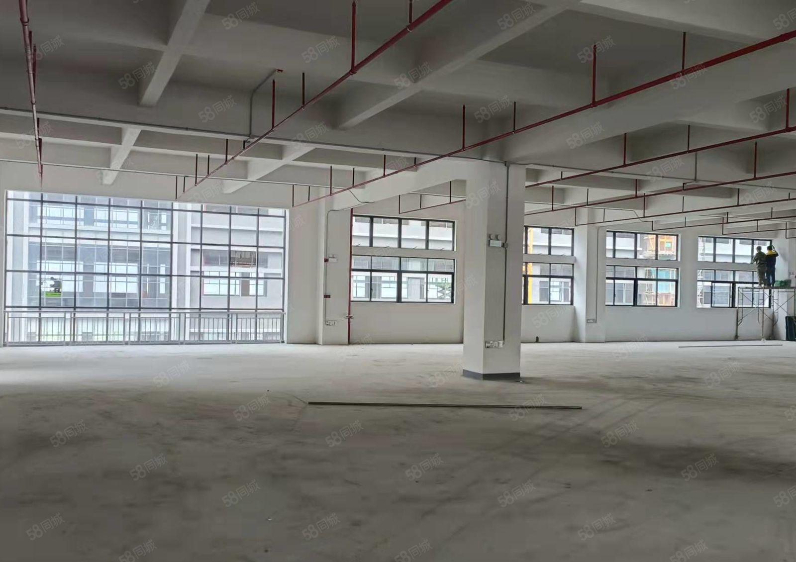 有红本，清溪原房东全新独院厂房出租4万平方，可分租